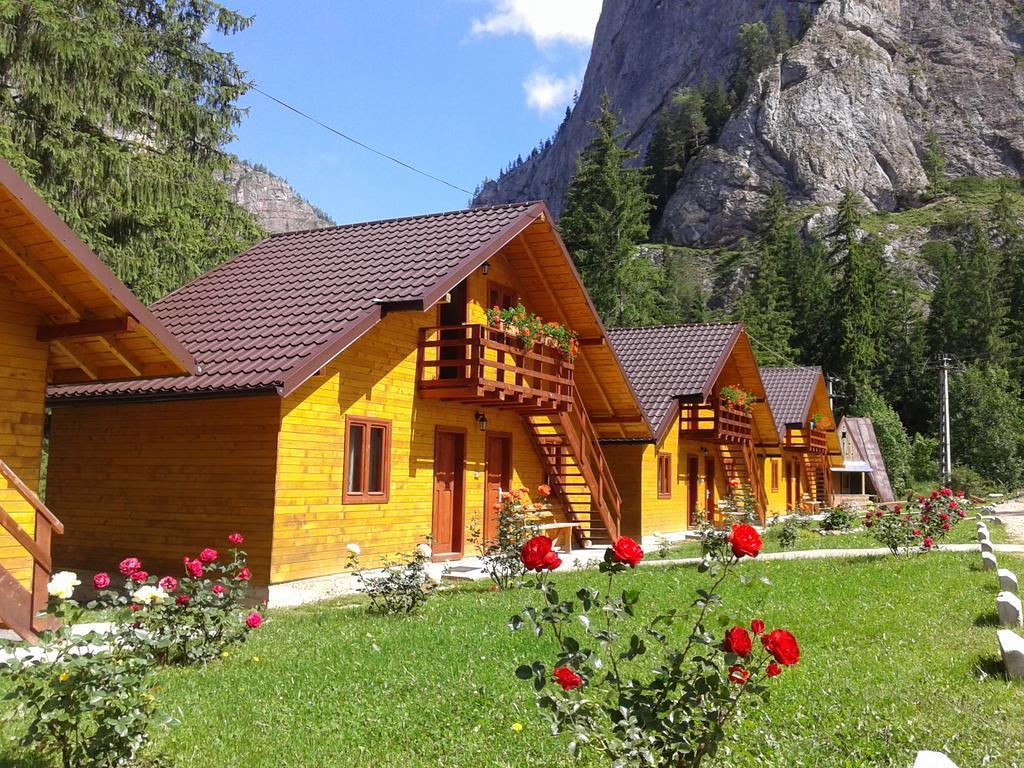 Pensiunea Stefania Lacu Roșu Exterior foto